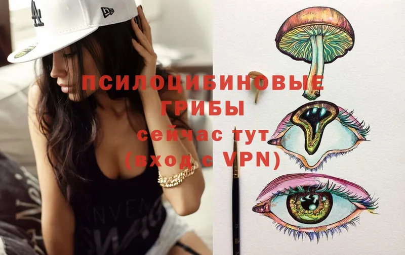 Псилоцибиновые грибы MAGIC MUSHROOMS  Борисоглебск 