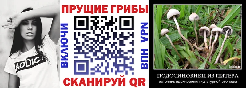 Псилоцибиновые грибы прущие грибы  Борисоглебск 
