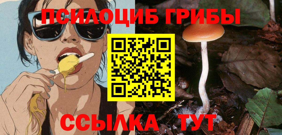 продажа наркотиков  Галлюциногенные грибы Psilocybe  Псилоцибиновые грибы прущие грибы  Вход с VPN  Борисоглебск 