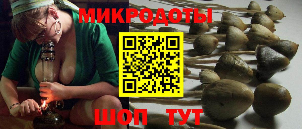 Псилоцибиновые грибы MAGIC MUSHROOMS Борисоглебск